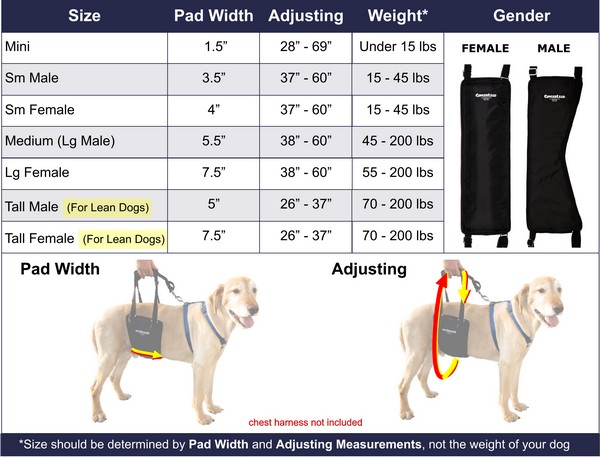 GingerLead Sizing Chart GingerLead Sizing Chart with Tall Variations