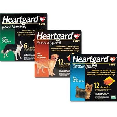Treating Heartworms In Dogs With Heartgard Treating Heartworms In Dogs With Heartgard