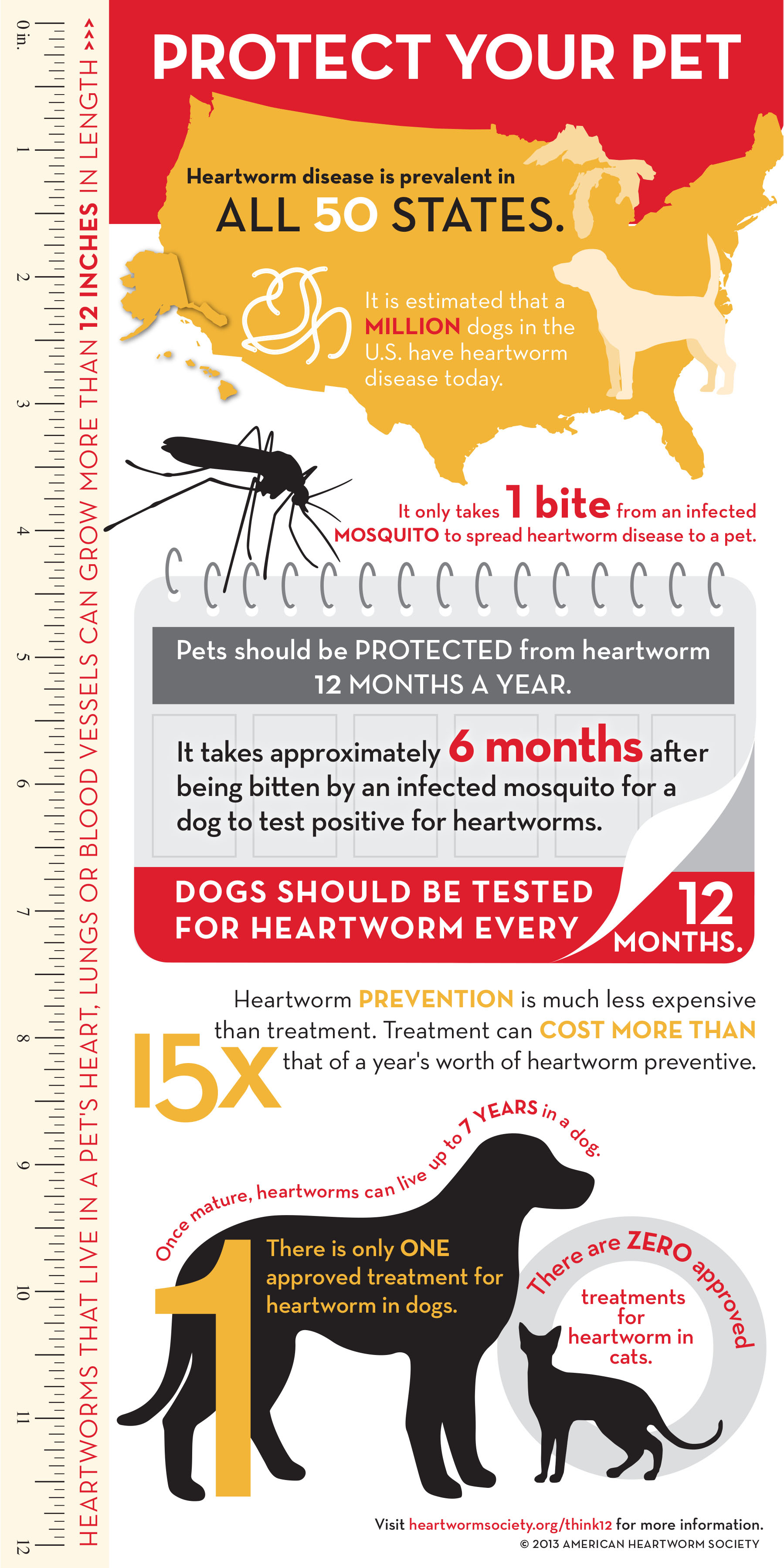 once a year heartworm prevention