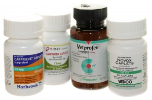 rimadyl vetprofen