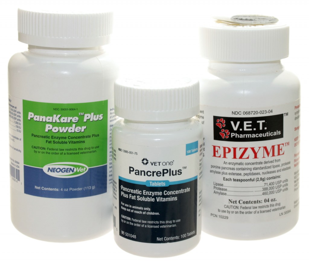 Pancreatic Enzyme Supplements 