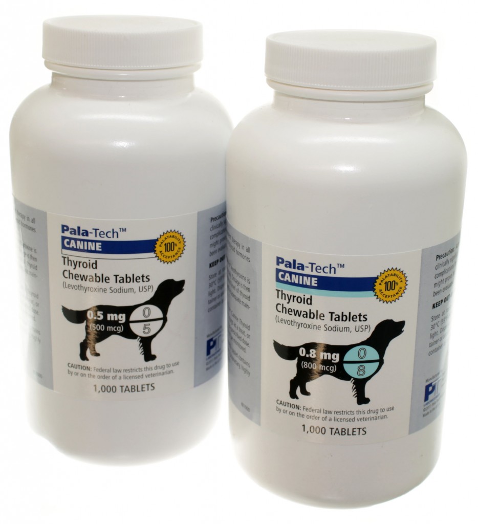 thyroid meds for dogs