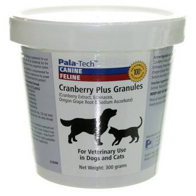 cranberry for dogs cranberry plus chewable tablets vetrxdirect pharmacy cranberry for dogs cranberry plus chewable tablets vetrxdirect pharmacy