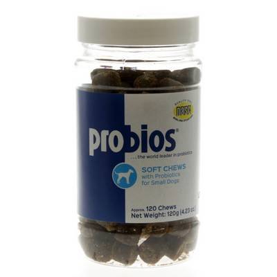 Can Dogs Have Probiotics Daily Can Dogs Have Probiotics Daily