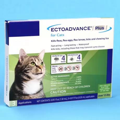 EctoAdvance Plus for Cats Kills Fleas and Ticks