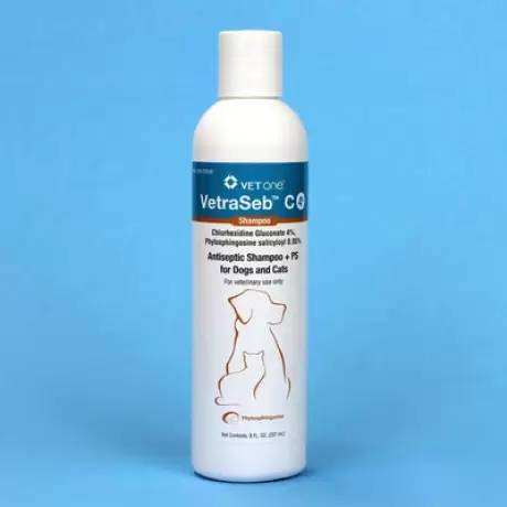 VetraSeb C 4% Shampoo for Dogs and Cats, 8oz