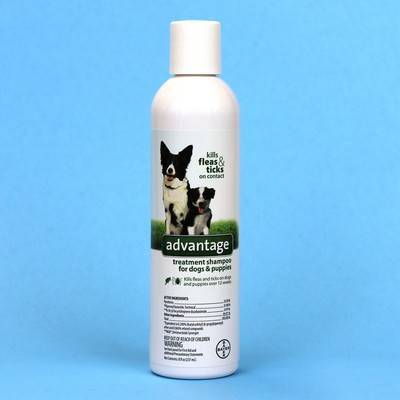 Advantage flea and tick shampoo for dogs reviews Clearance