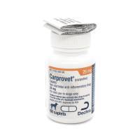 Carprofen caplets for sales dogs