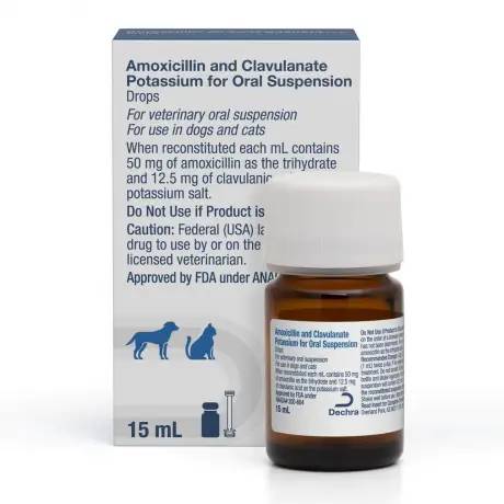 Amoxicillin and Clavulanate Potassium (Generic) Oral Suspension - 50mg/12.5mg/mL 15mL bottle