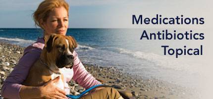 entederm for dogs medications antibiotics topical entederm for dogs medications antibiotics topical