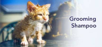 Cat Grooming Shampoos