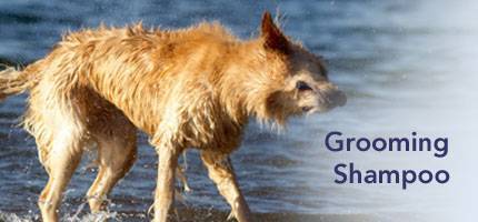 Dog Grooming Shampoos