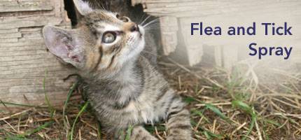 Cat Flea and Tick Spray