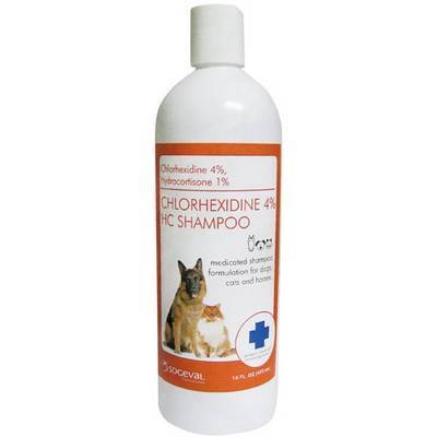 shampoo chlorhexidine hc pets dogs cat viewing vetrxdirect