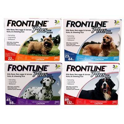 frontline for dogs frontline plus flea ticks on dogs vetrxdirect 89 132 lbs 3 month supply frontline for dogs frontline plus flea ticks on dogs vetrxdirect 89 132 lbs 3 month supply