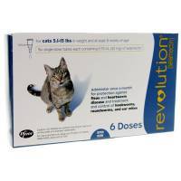 revolution flea medication for cats