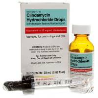 Clindamycin Hydrochloride Antibiotic Drops for Pets
