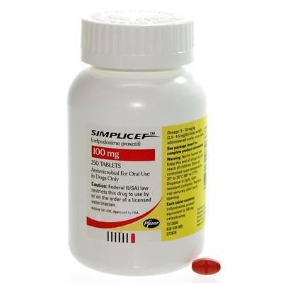 Simplicef for Dogs Cefpodoxime for dogs VetRxDirect simplicef rx