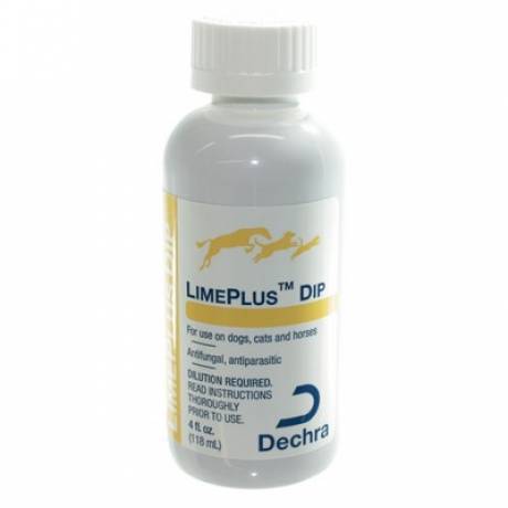 LimePlus Dip Sulfurated Lime Concentrate