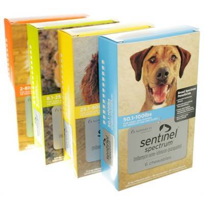 heartworm sentinel spectrum dogs sentinel spectrum heartworm chews vetrxdirect pharmacy heartworm sentinel spectrum dogs sentinel spectrum heartworm chews vetrxdirect pharmacy