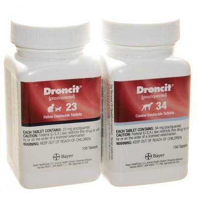 droncit for dogs droncit praziquantel dewormer tablets vetrxdirect 23mg feline tablet droncit for dogs droncit praziquantel dewormer tablets vetrxdirect 23mg feline tablet