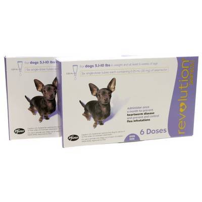 revolution for dogs 5 10 lbs revolution for dogs heartworm flea med vetrxdirect 85 1 130 lbs 3 month supply revolution for dogs 5 10 lbs revolution for dogs heartworm flea med vetrxdirect 85 1 130 lbs 3 month supply