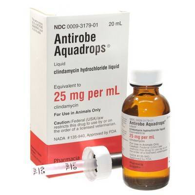Clindamycin Hydrochloride Cats