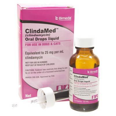 Cleocin Hcl