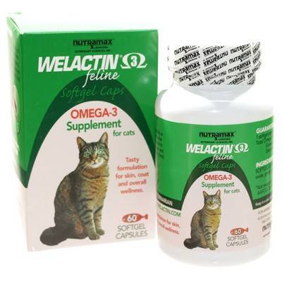 welactin for dogs welactin feline for cats feline fatty acid supplement welactin for dogs welactin feline for cats feline fatty acid supplement