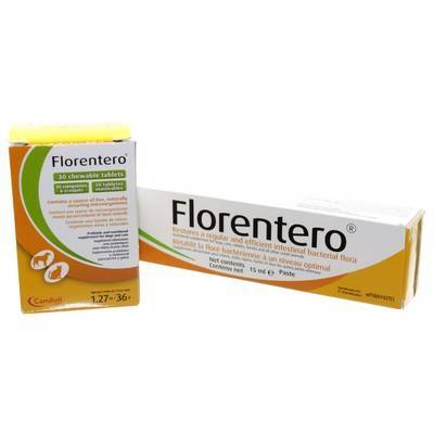 Probiotics for dogs dental health benefits