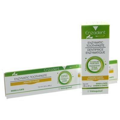 Enzadent Enzymatic Toothpaste: Dental Care for Dogs and Cats