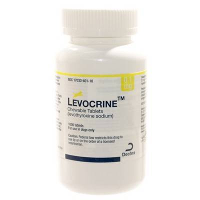 levothyroxine for dogs levocrine chewable levothyroxine for dogs vetrxdirect levothyroxine for dogs levocrine chewable levothyroxine for dogs vetrxdirect