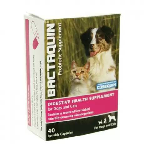 Bactaquin Digestive Health Supplement for Dogs and Cats