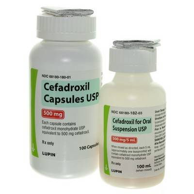 is cefadroxil good for tooth infection