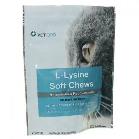 L-Lysine Soft Chews Approx 120 250mg