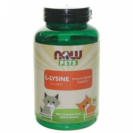 Now Pets L-Lysine Powder Supports Healthy Immunes in Cats
