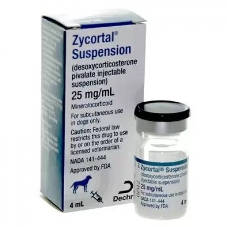 Zycortal Suspension for Addison's Disease in Dogs