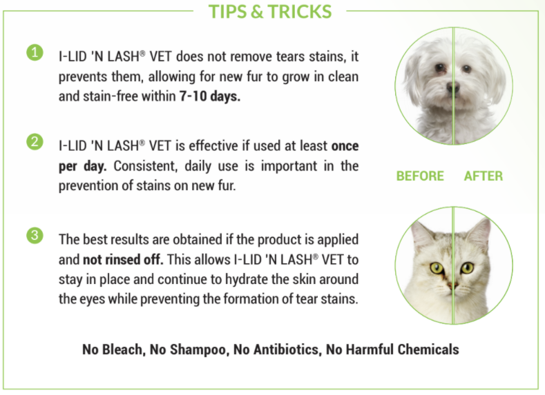 I-LID 'N LASH® VET PUMP – I-MED Animal Health