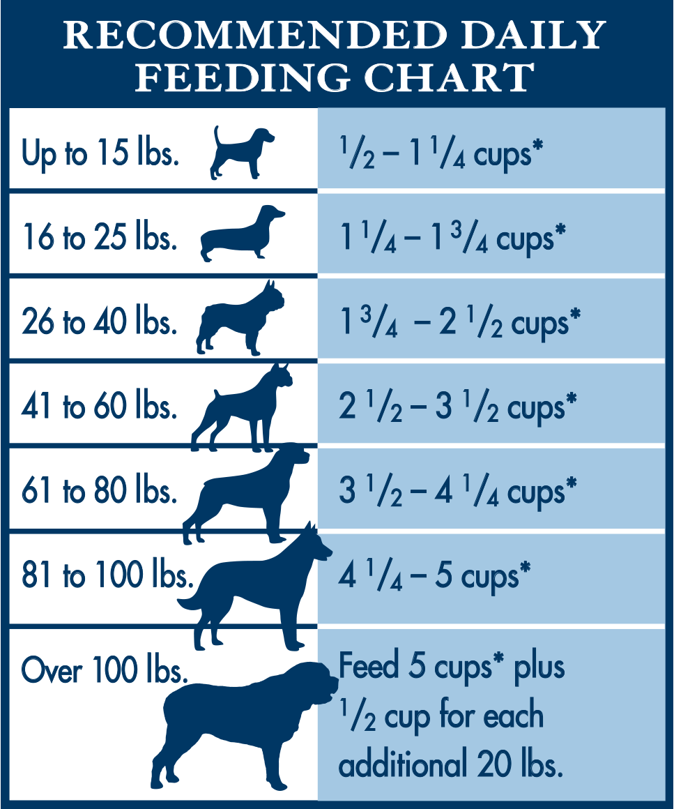 Hills Dog Food Feeding Chart