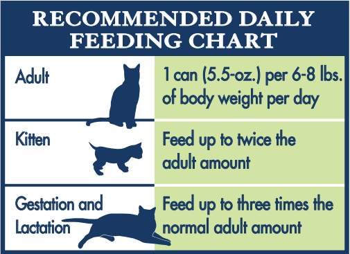 Cat Feeding Chart