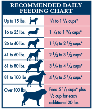 Purina Dog Chow Feeding Chart