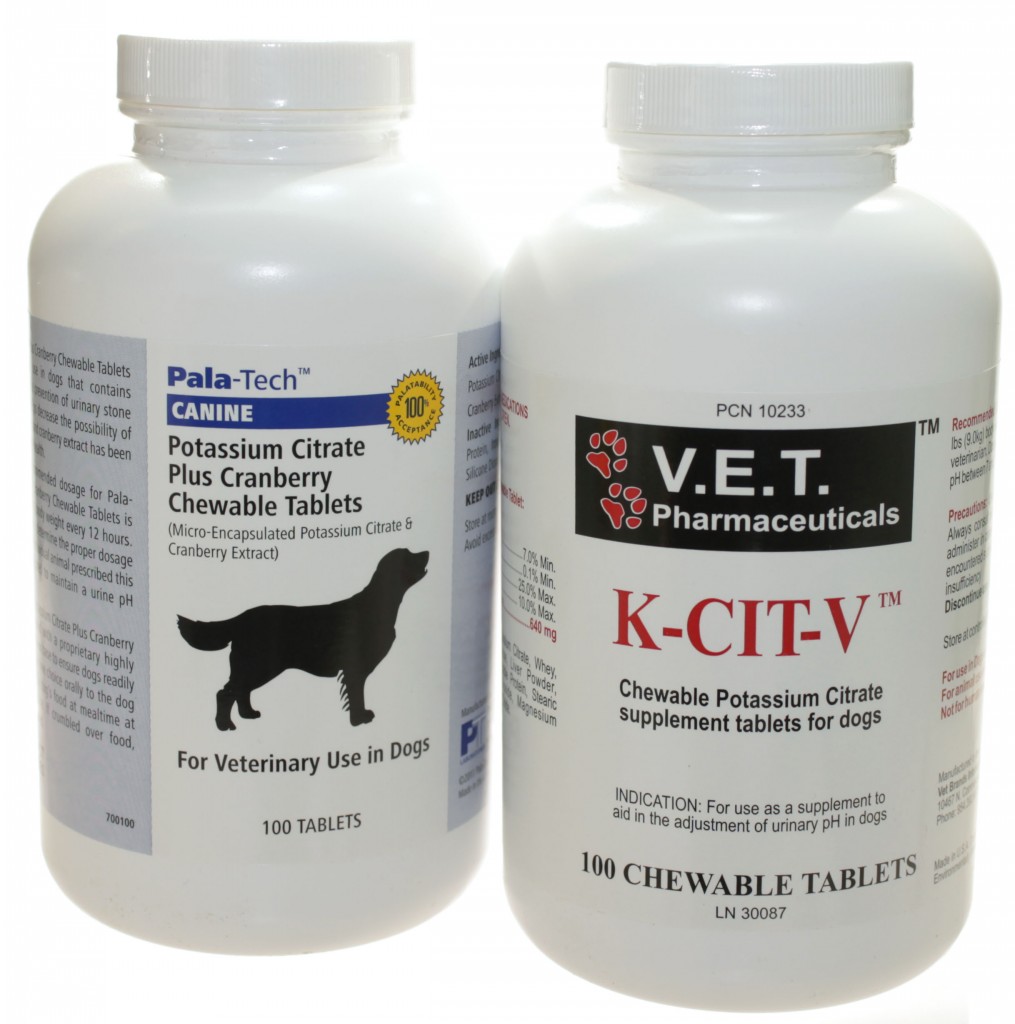 A Review of Potassium Supplements for Dogs and Cats VetRxDirect