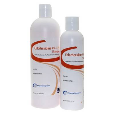 chlorhexiderm shampoo