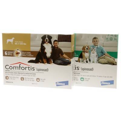 comfortis for cats dogs