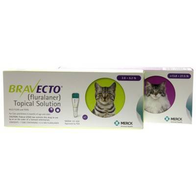 Bravecto 12 Week Topical Solution For Cats Vetrxdirect