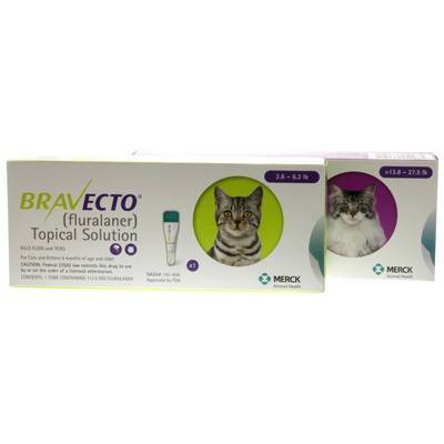 best price bravecto for cats