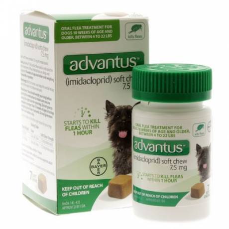 advantus flea treatment