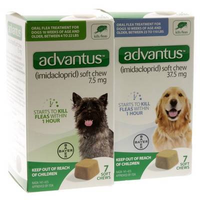 otc flea pills for dogs