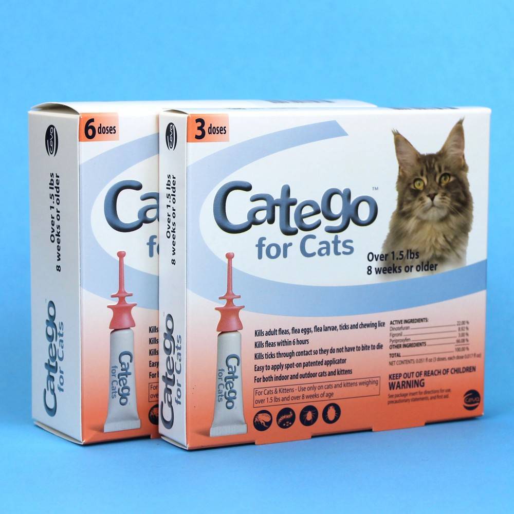 Catego for Cats Monthly Flea Preventative for Cats VetRxDirect