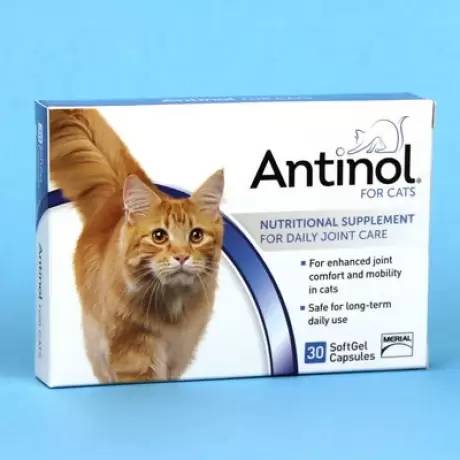 Antinol for Cats 30 Softgel Caps for Daily Joint Care